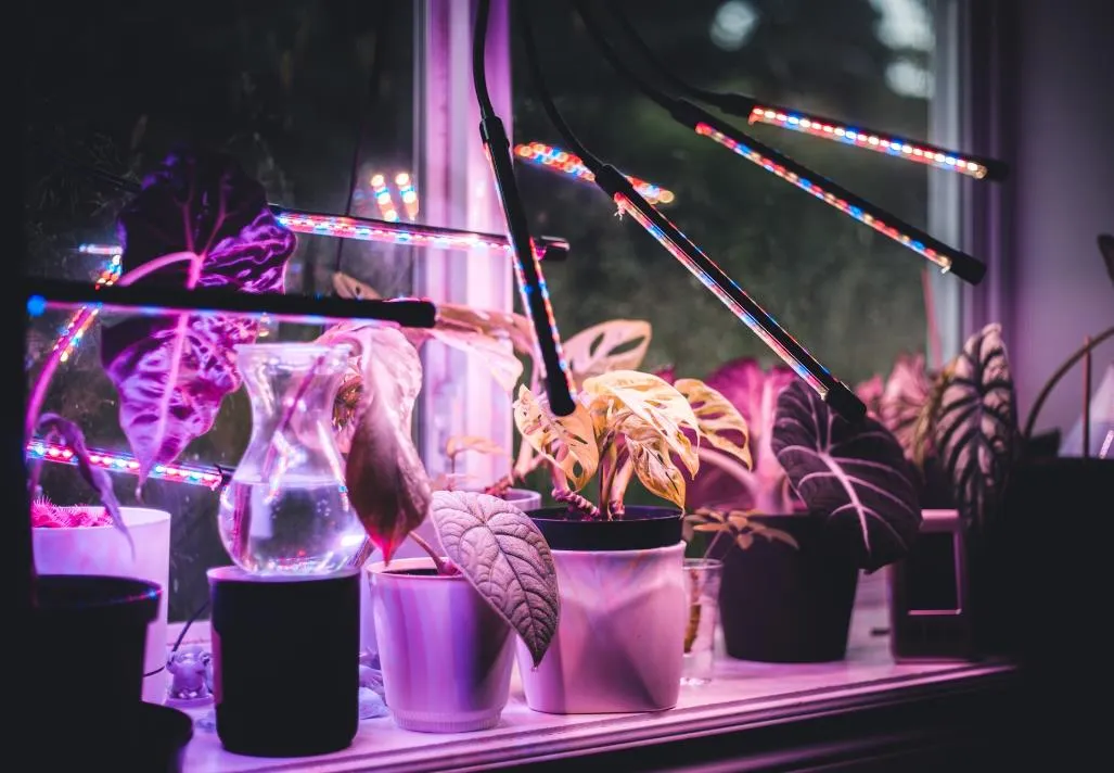 36020250427232758237 36020250427232758237