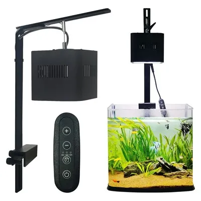 Лампочка рибної лампочки