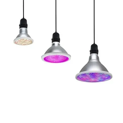 ІЧ вирощує лампочку